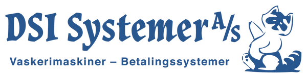 Dsi Systemer